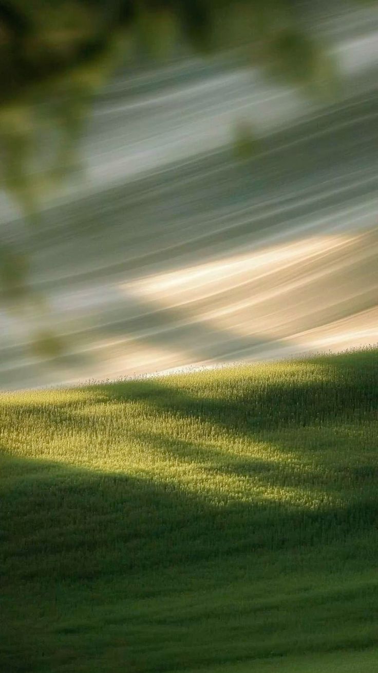 The Ideology of Wholeness is Known as AREAISM