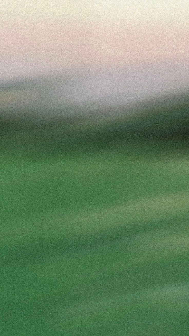 The Immune System of Wholeness: Why Areaism is the Antidote to Corruption